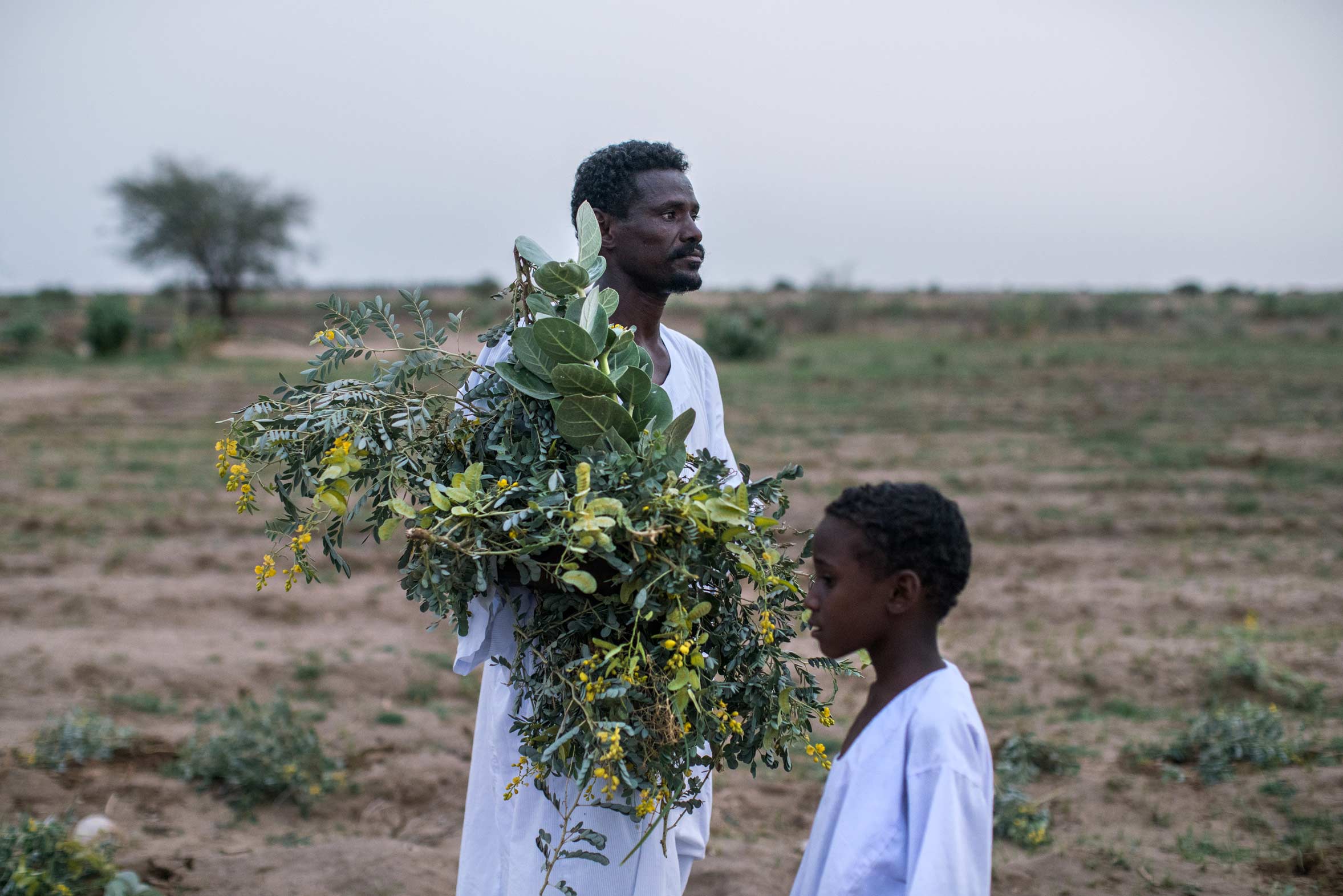 One Of Africa s Most Fertile Lands Is Struggling To Feed Its Own People