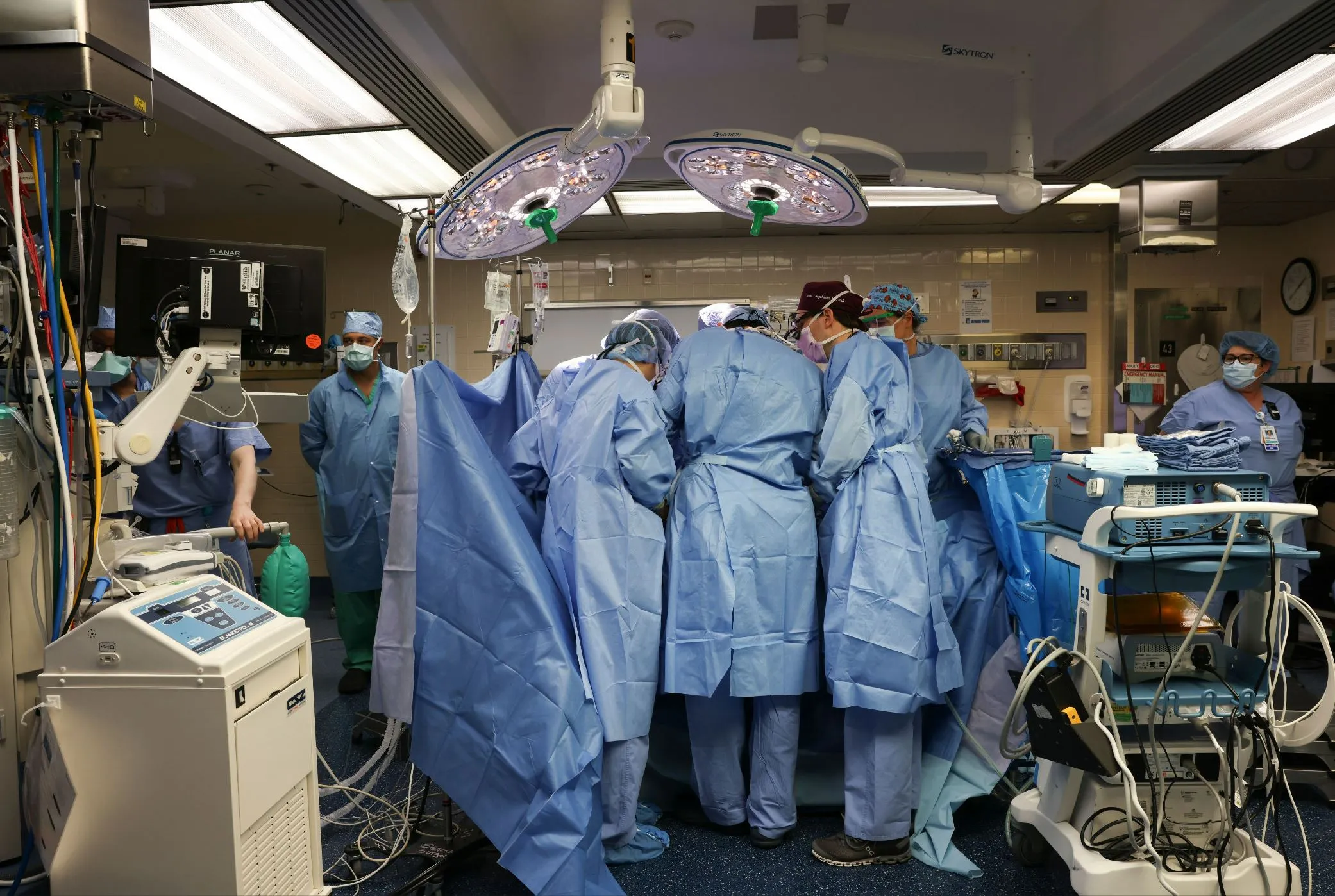 Surgeons transplant&nbsp;a genetically modified pig kidney into a living human recipient at&nbsp;Massachusetts General Hospital.