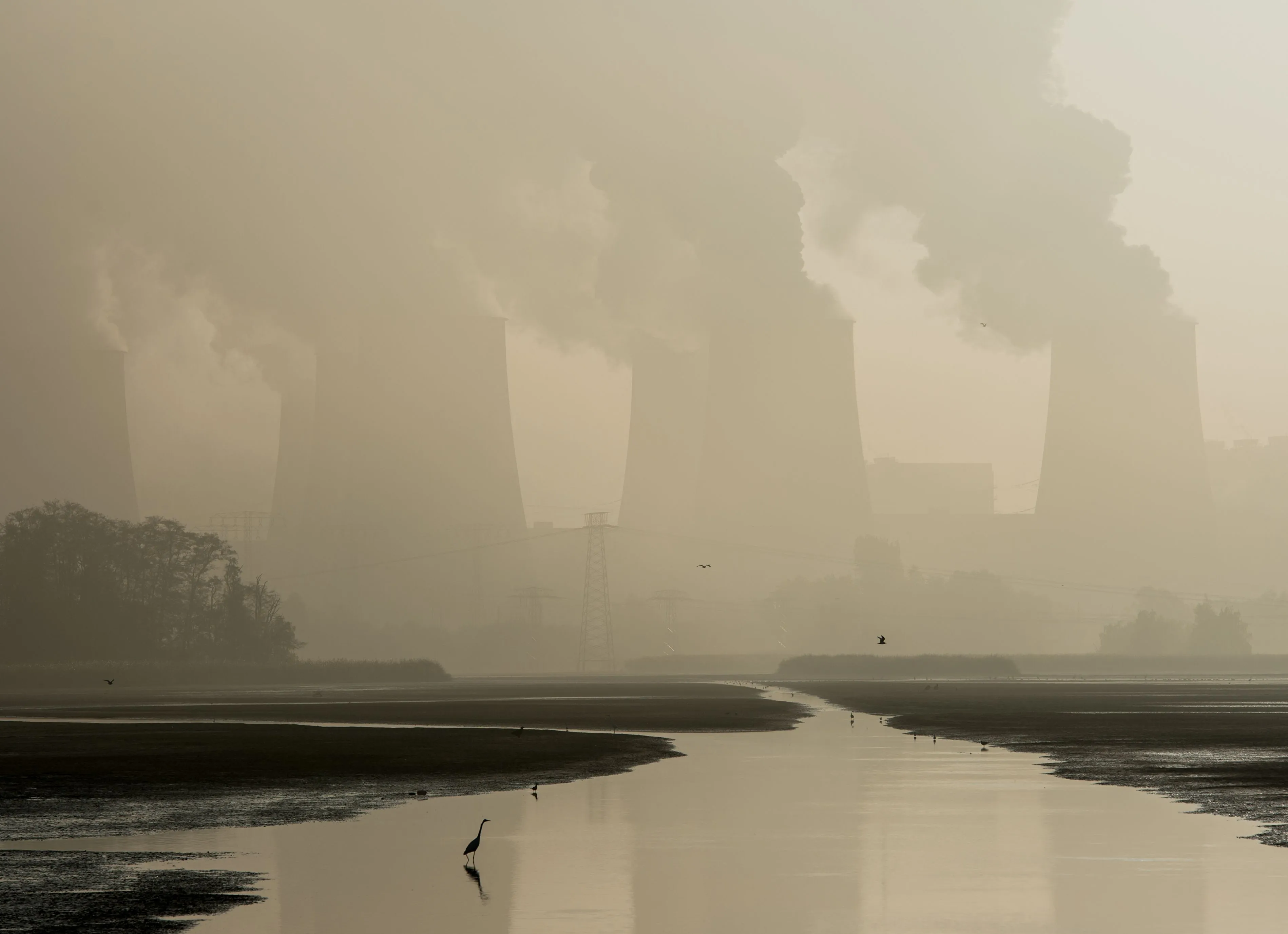Coal is still king.