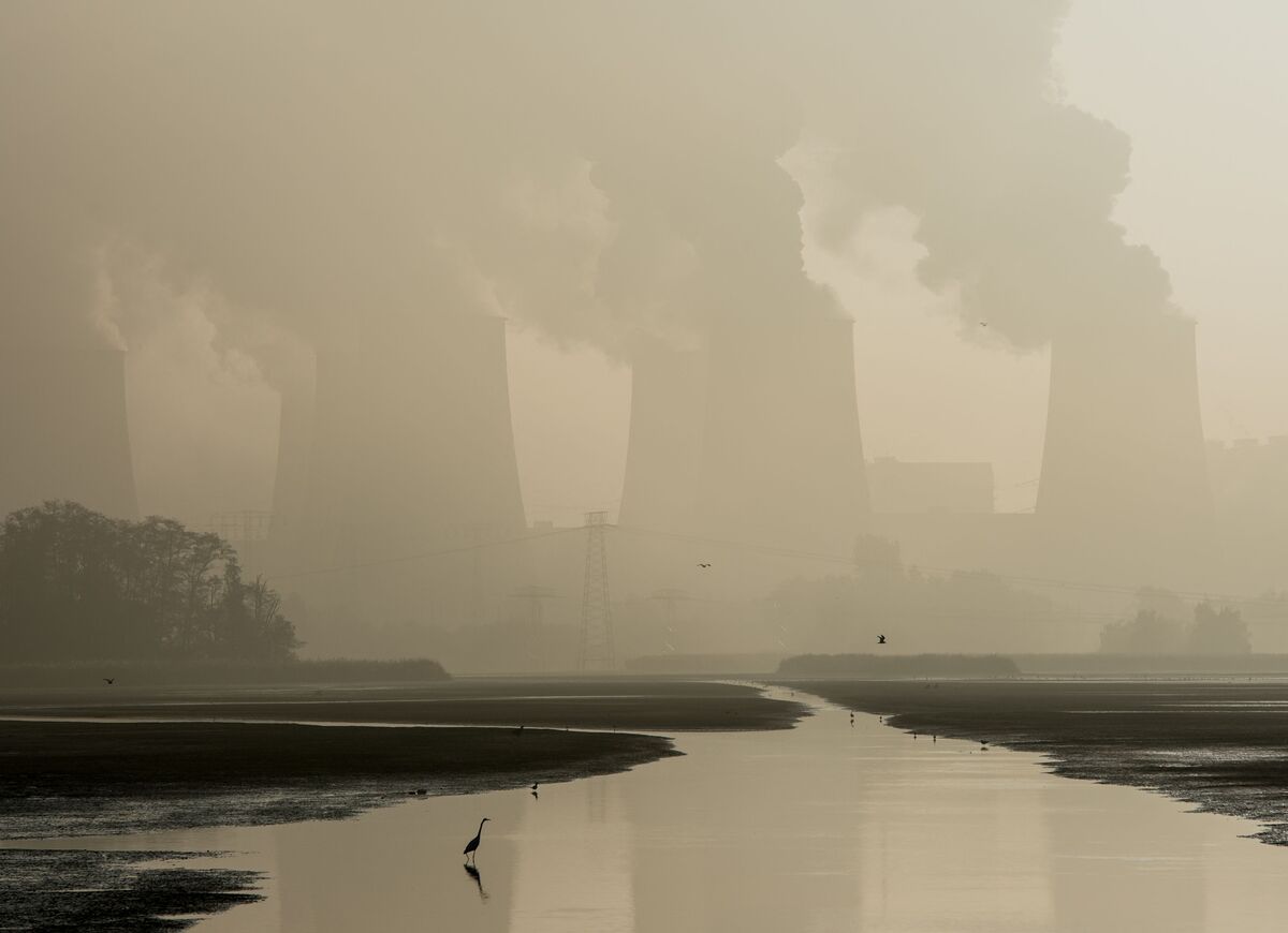 World Bank Paper Highlights Finance, Carbon Emissions Link