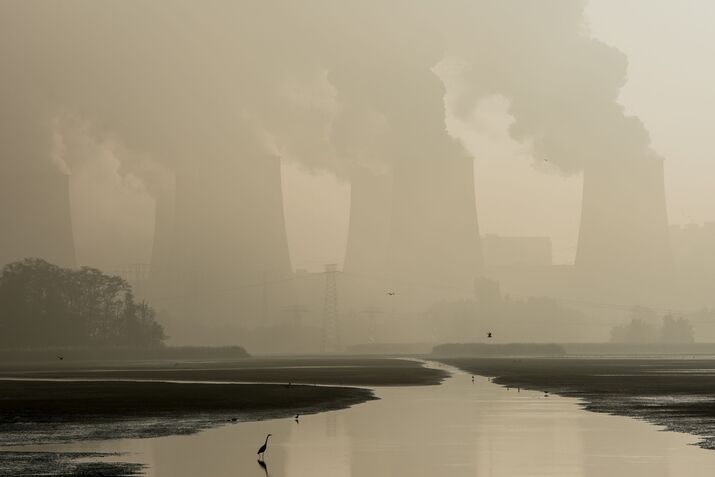 To Fight Climate Change, Clean Up Carbon Markets