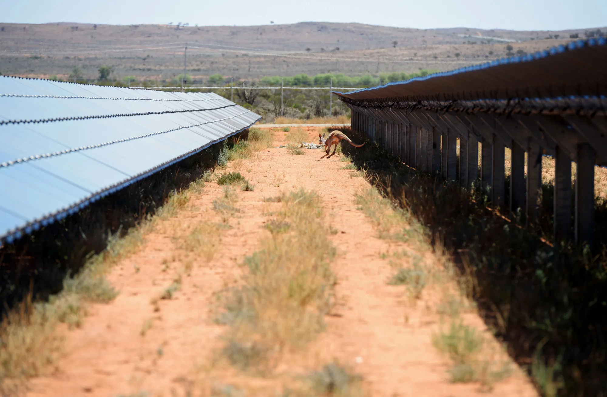 BHP's Birthplace Goes Solar To Power Post-Mining Future