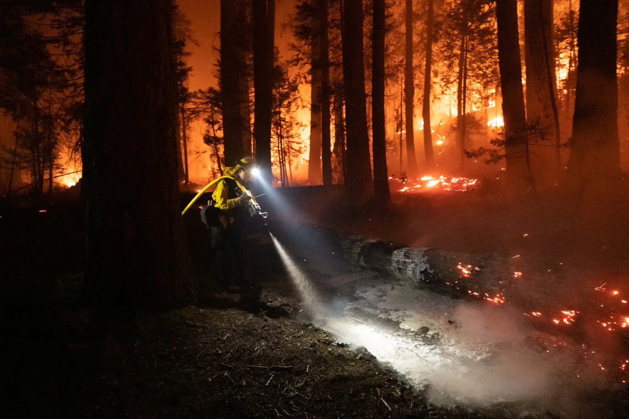 California's Caldor Fire Jumps Highway 50 Near Tahoe