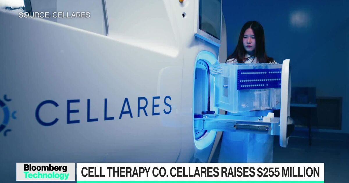 Watch Cell-Therapy Company Cellares Raises $255 Million - Bloomberg