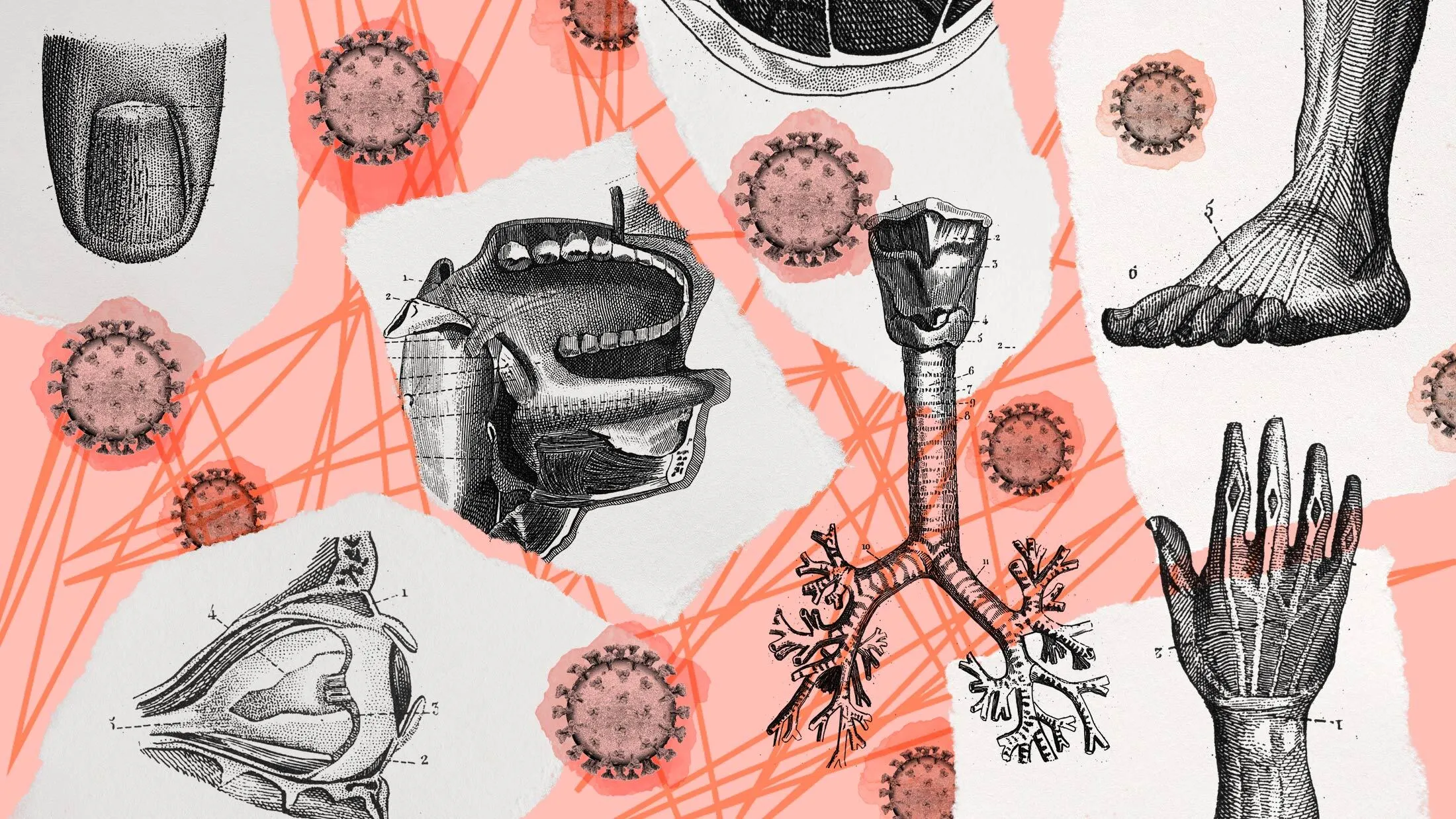 covid header
