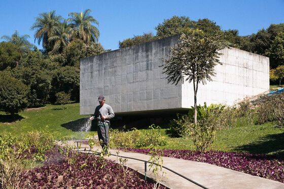 The Crimes That Fueled a Fantastic Brazilian Museum