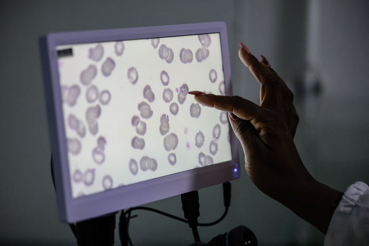 Climate Change Set to Redraw Africa’s Malaria Map, Study Finds
