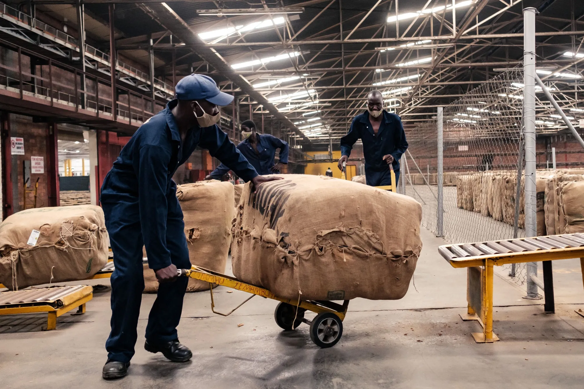Workers load tobacco bales&nbsp;at the Tobacco Sales Floors&nbsp;in Harare.