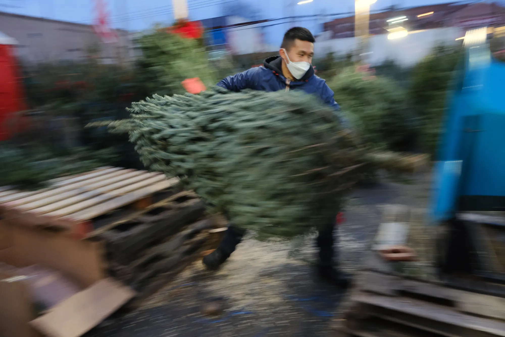 Go ahead and get that tree.