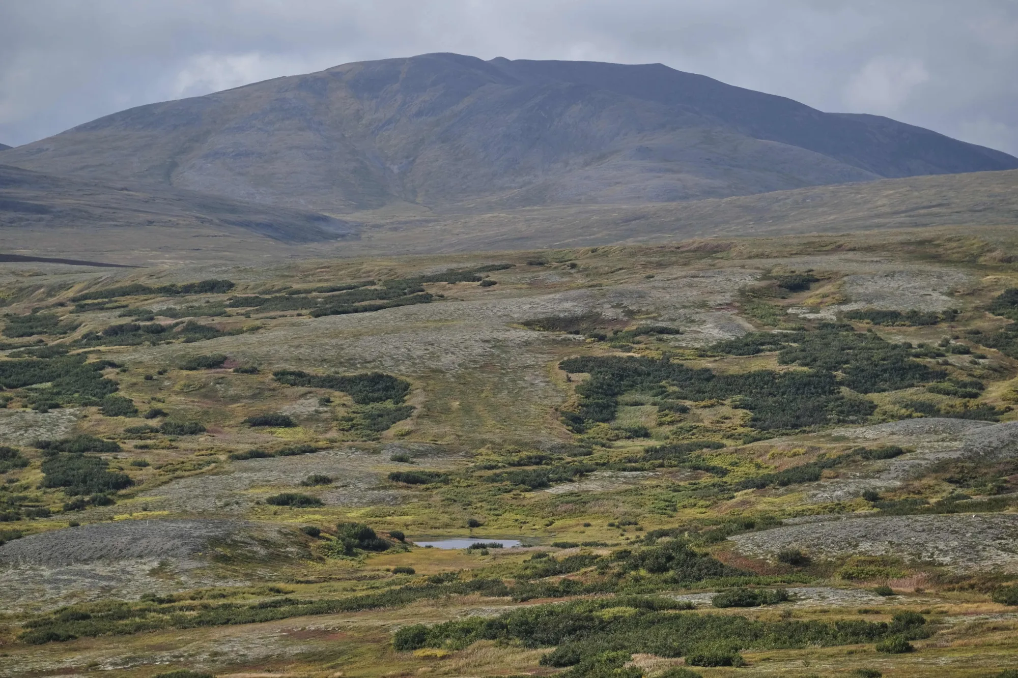 Pebble Mine in Alaska Stalled as No New Proposal Submitted - Bloomberg