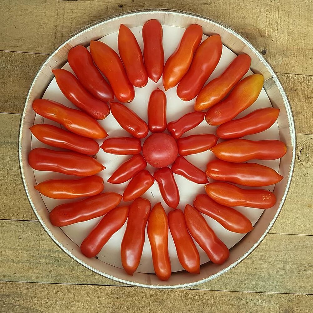 relates to Plant-Based Fish Is Rattling the Multibillion-Dollar Seafood Industry