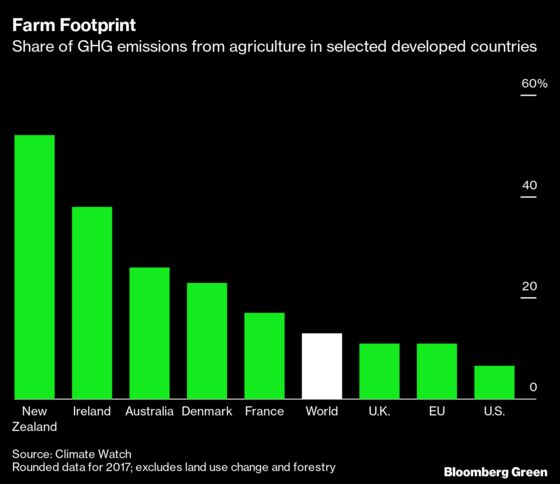 Cow Cocktails and Vaccines Join the Battle to Reach Net Zero