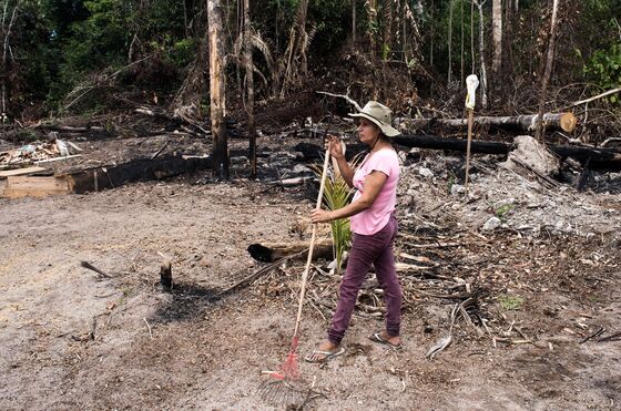 Bolsonaro’s Words Are the Sparks as Brazil’s Farmers Burn Amazonia