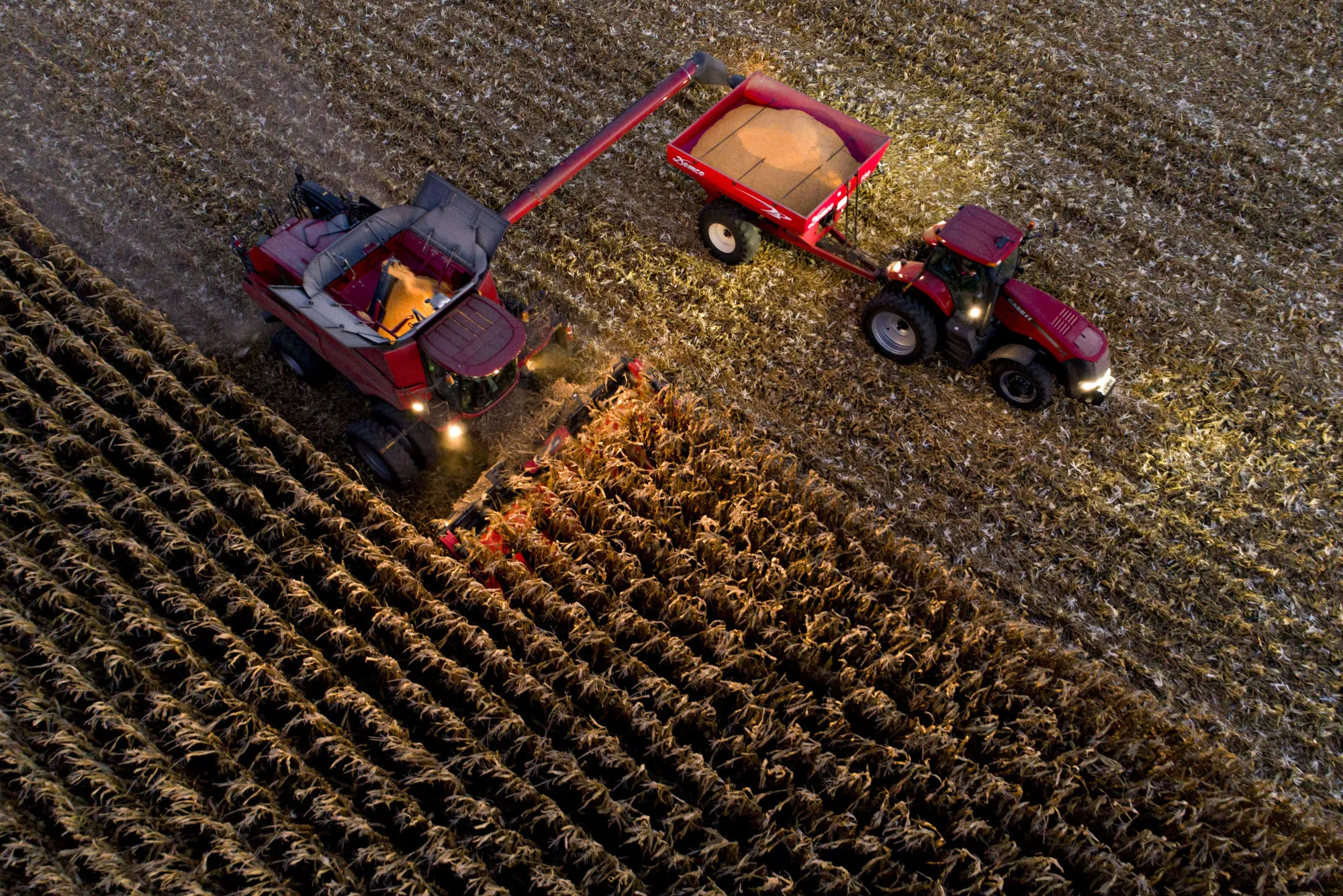 Corn Harvest As Futures For Delivery Gain