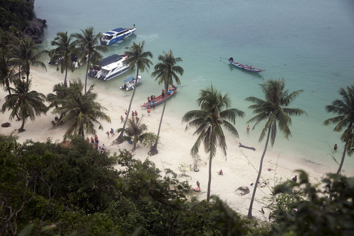 how toxic is koh samui super strain