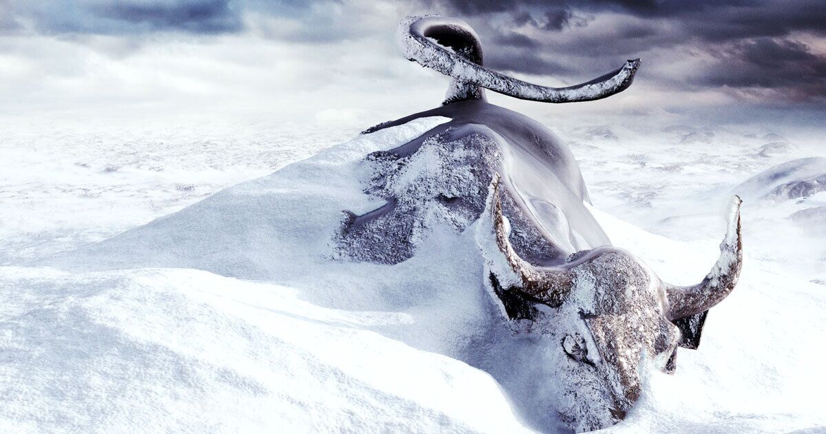 Is the Stock Market Crashing? 2022 Stress Test Has Companies, Crypto