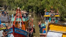The Mekong River’s Tragic Makeover