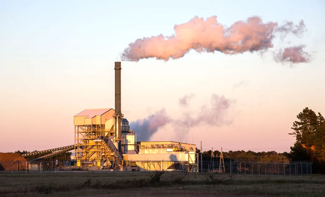 How Burning Wood, Once a Viable Power Source, Fell Out of Favor in the U.S.  - Bloomberg
