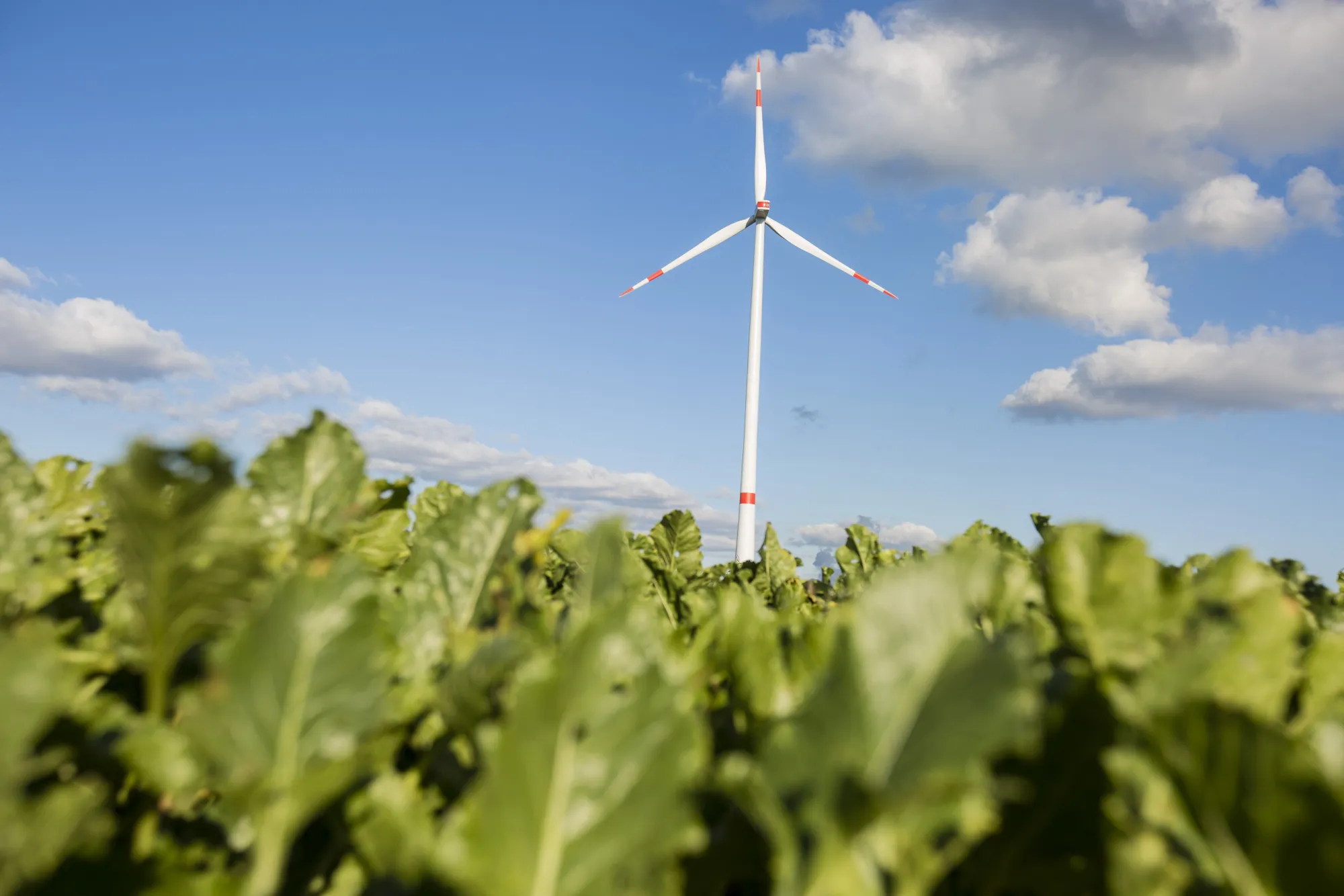 Energy Generation On An RWE AG Wind Farm Ahead Innogy Unit's Planned $5.6 Billion IPO