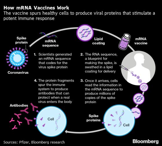 First Covid Vaccines’ Triumph Raises Hope for Cancer Fight