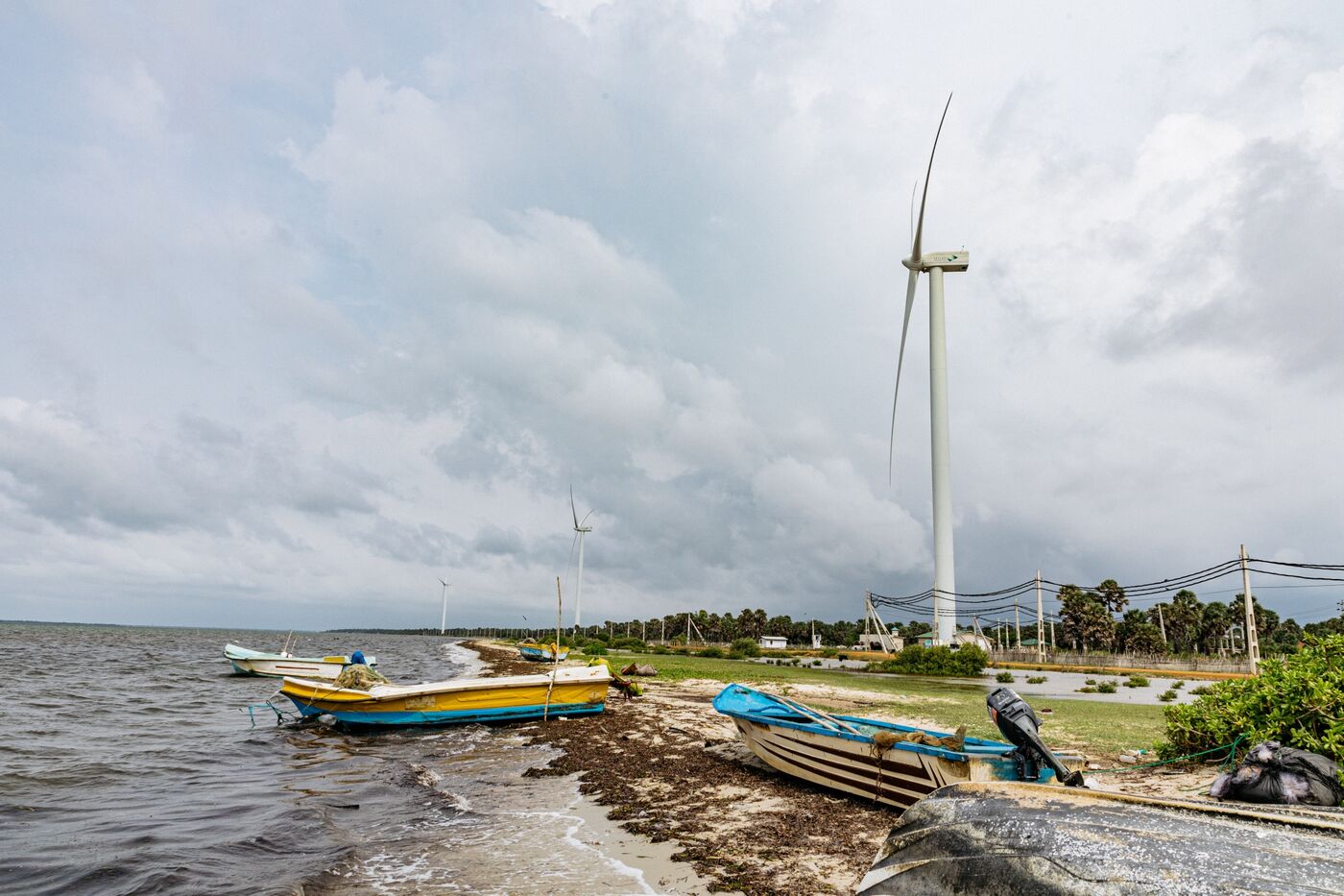 Wind turbines along the coast in Jaffna district, northern Sri Lanka.