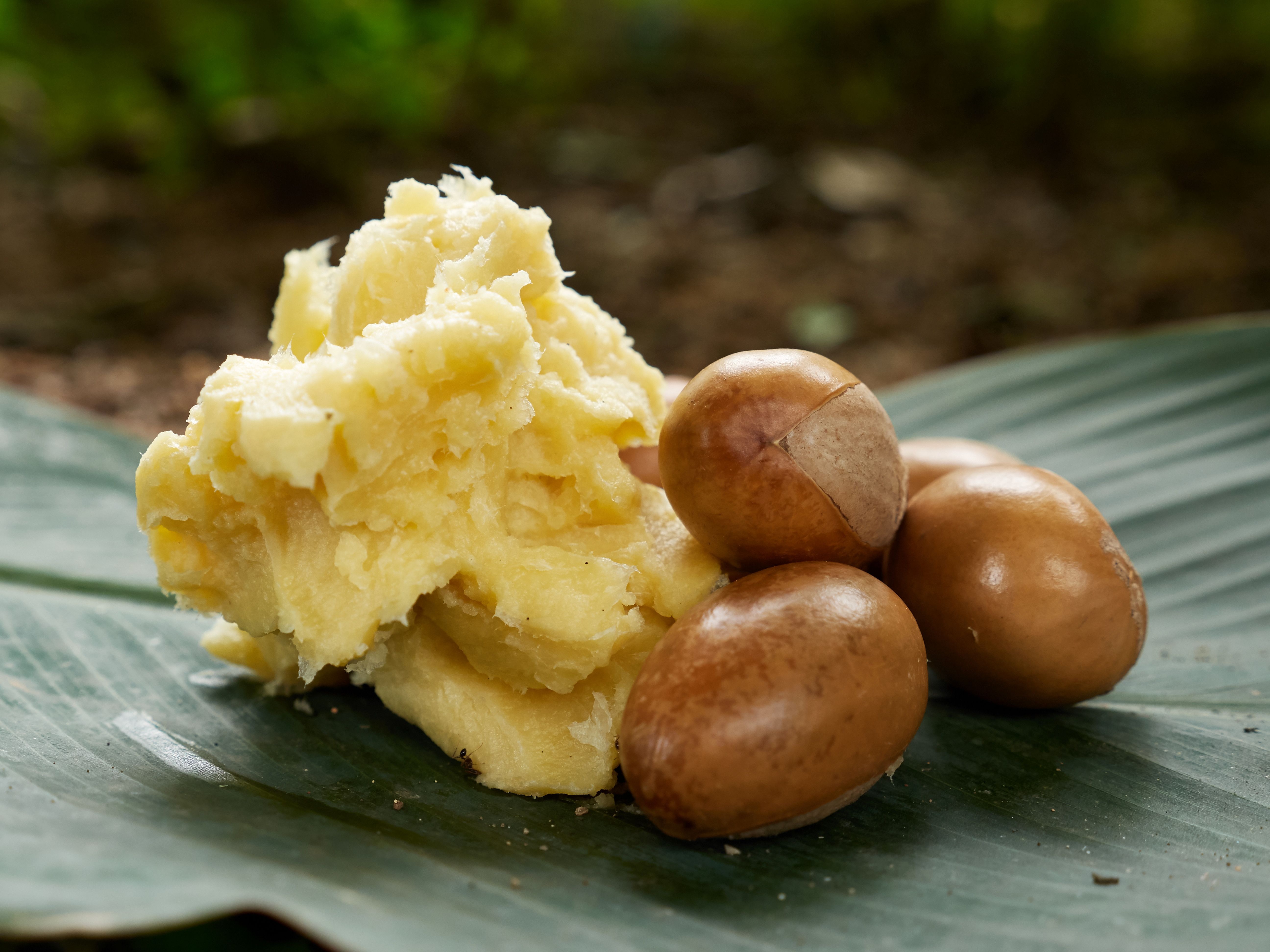 Shea butter and shea nuts in Jos, Nigeria.