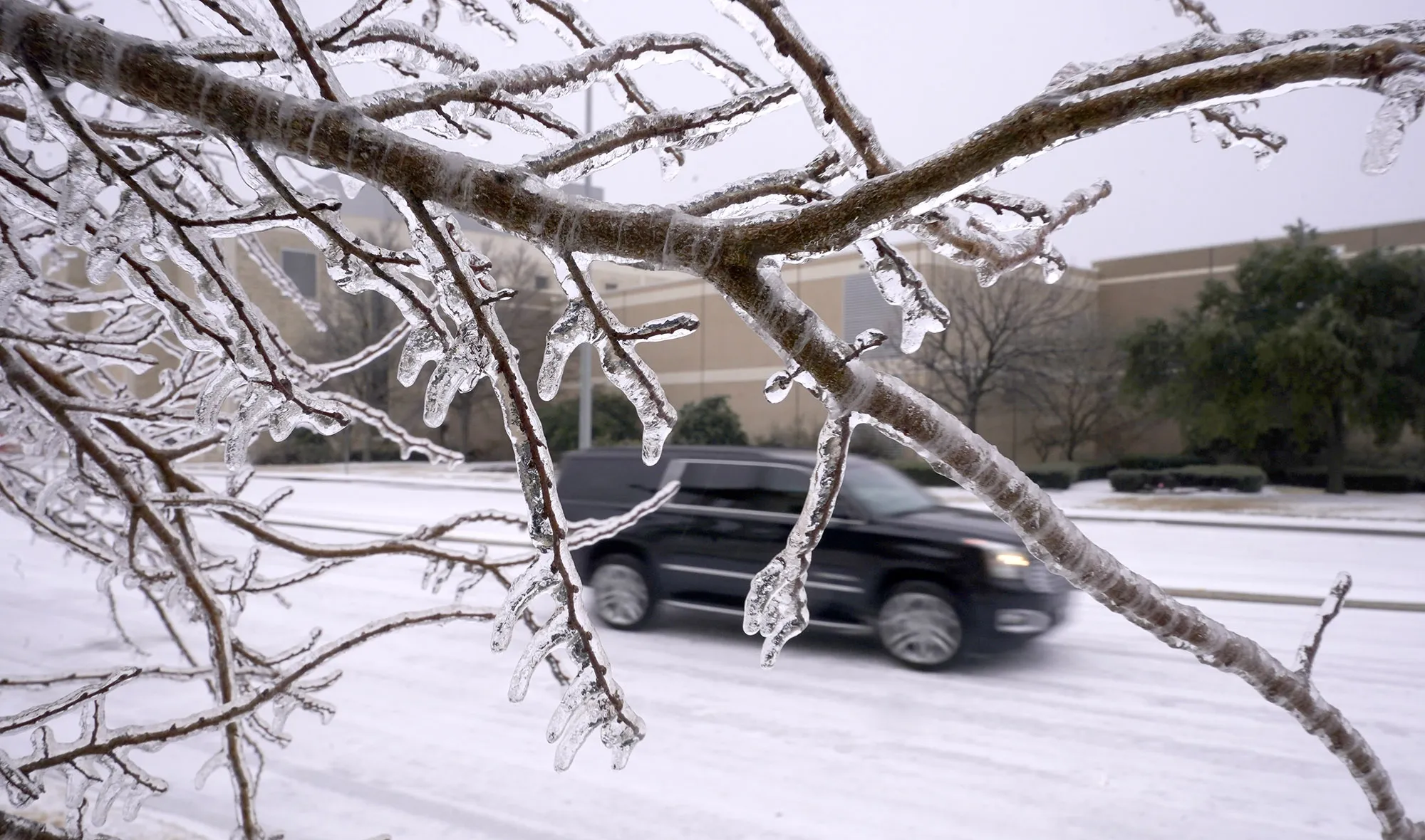 Ice coats trees and the road as an SUV drives in Richardson, Texas, on&nbsp;Feb. 3, 2022.