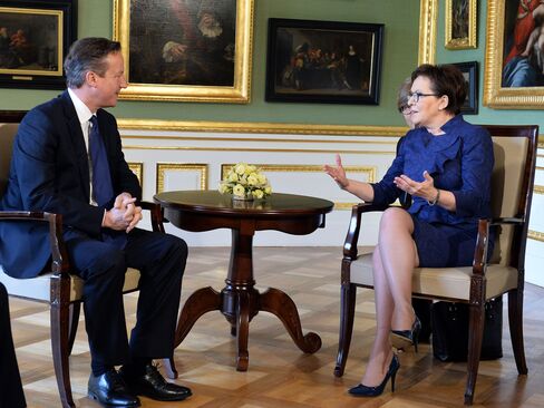 David Cameron And Ewa Kopacz