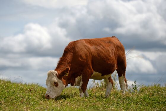 Most Grass-Fed Beef Labeled ‘Product of U.S.A.’ Is Imported