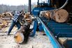 New York Sawmill Operations Ahead Of Empire Manufacturing Figures 