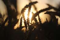 1495558923_263552226