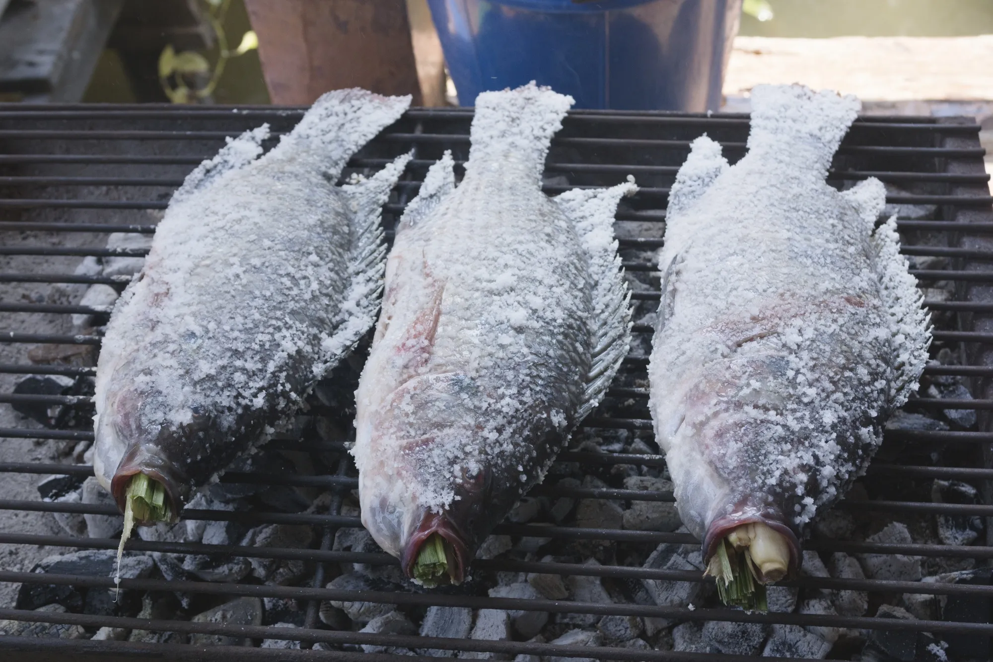 Grilled salt-crusted tilapia in Koh Samui.