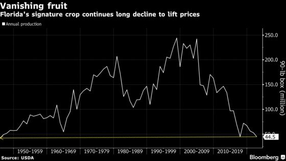 Florida Orange Crop Shrinks to 77-Year Low, Boosting Juice Costs