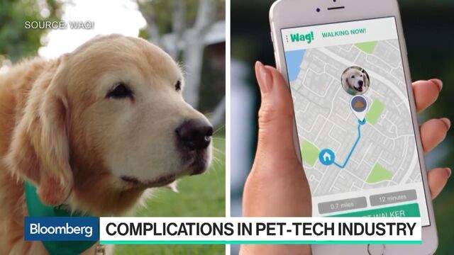 Bloomberg business news