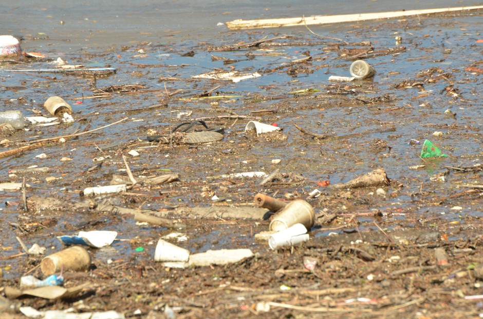 Large storms flush garbage and other pollutants from the streets into D.C.'s water bodies.