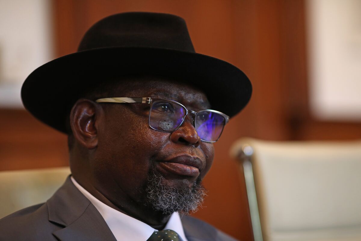 South Africa Minister Questions Free Care for Undocumented Migrants