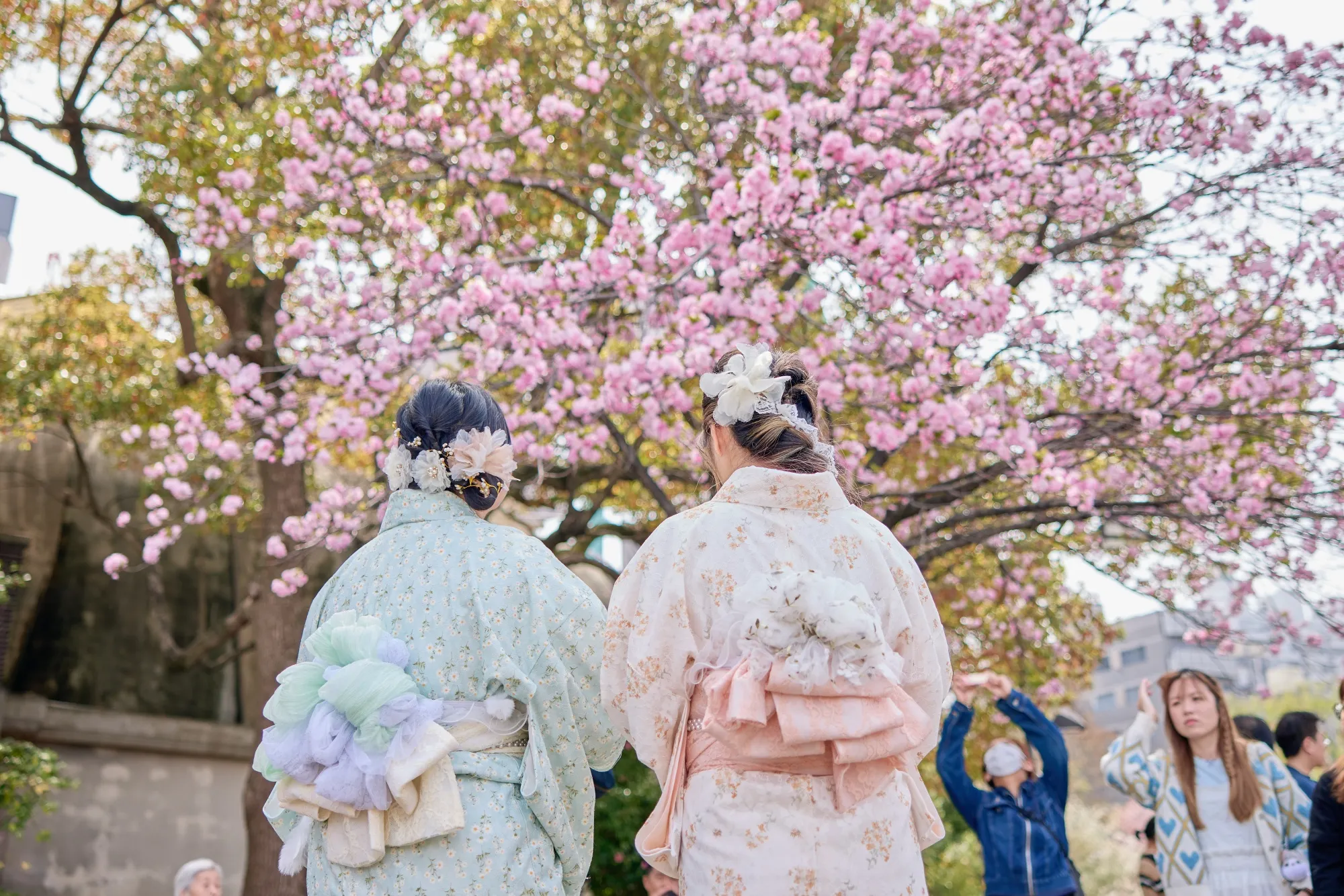 上野恩賜公園の花見客（2024年4月）