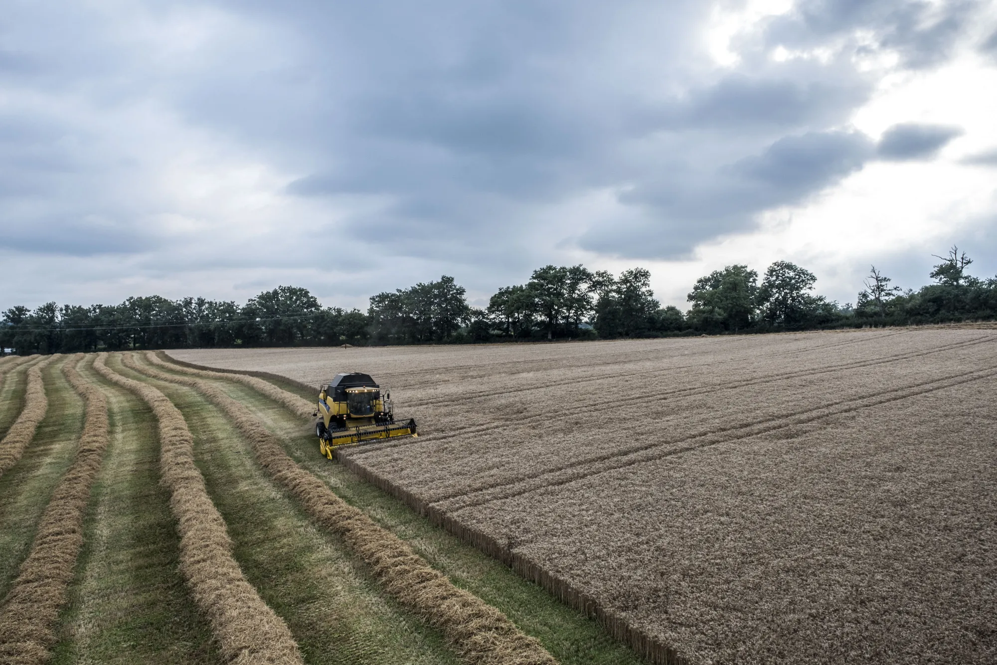 The EU is proposing&nbsp;measures including freeing up almost 4 million hectares of fallow land for crops.