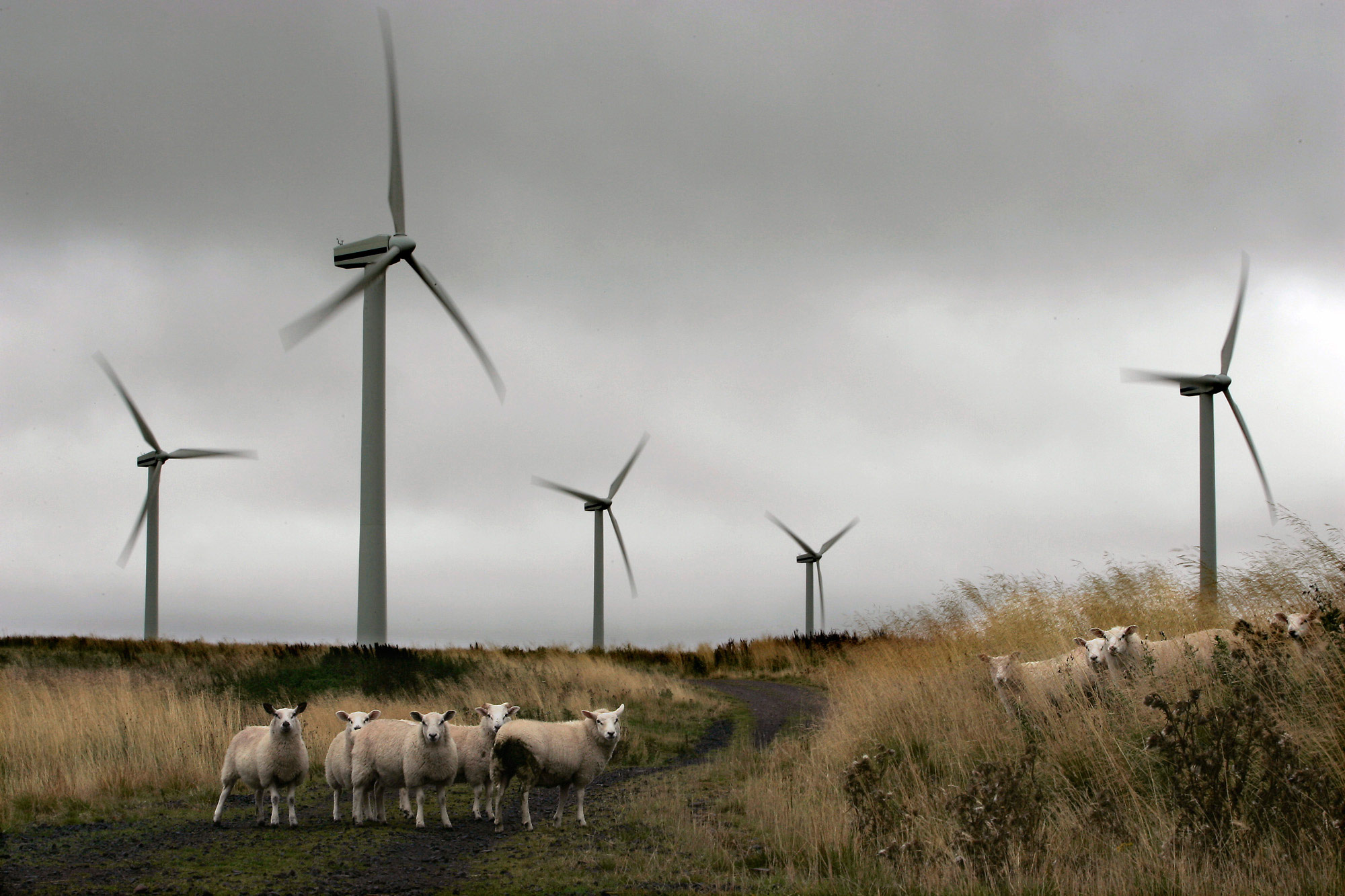 Hurricane-Force Gusts Prompt Record Pay to U.K. Wind Farms - Bloomberg