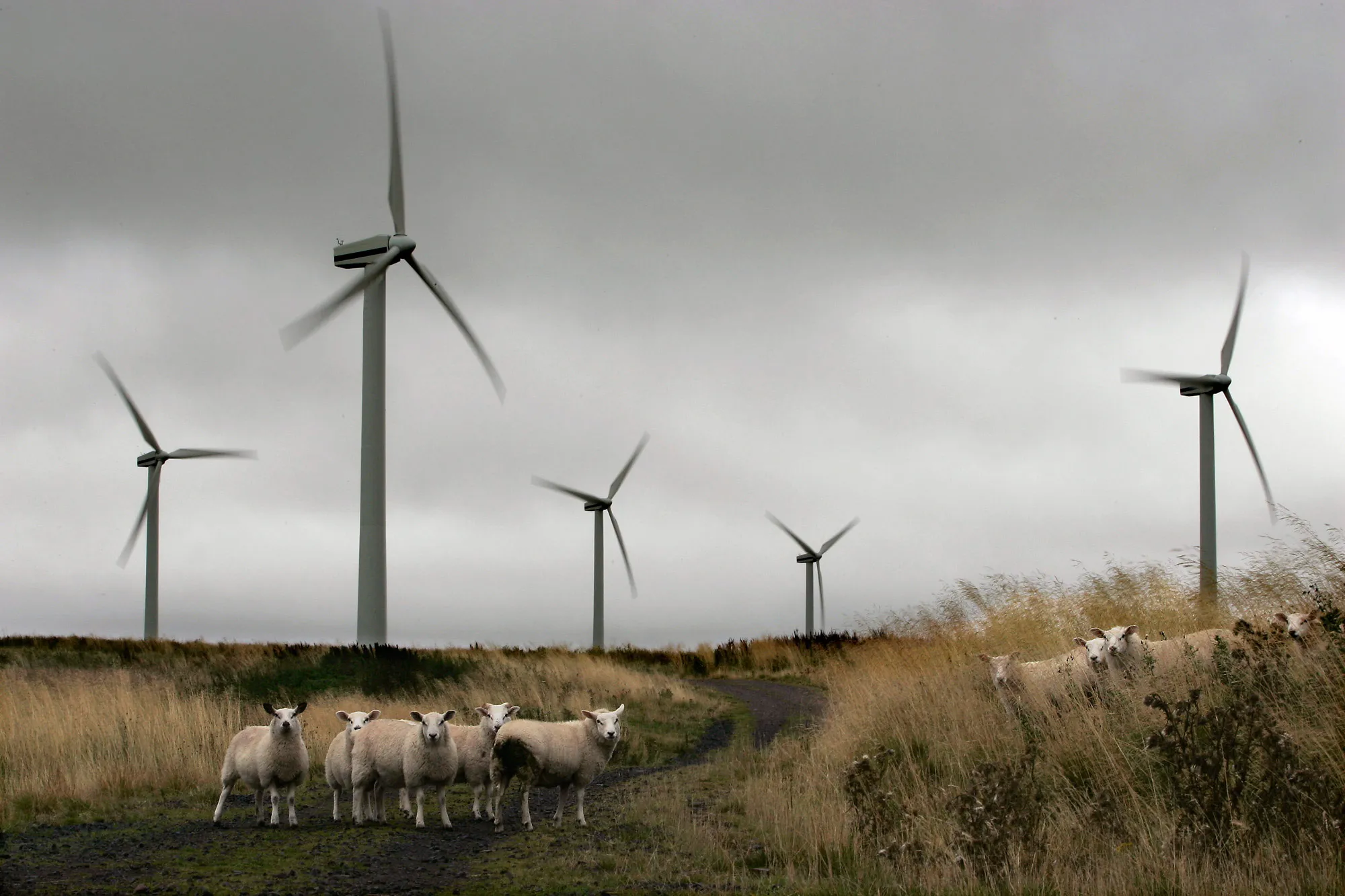 Wind turbines on the Scottish Borders.
