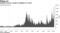 ChiNext turnover surges to highest on record
