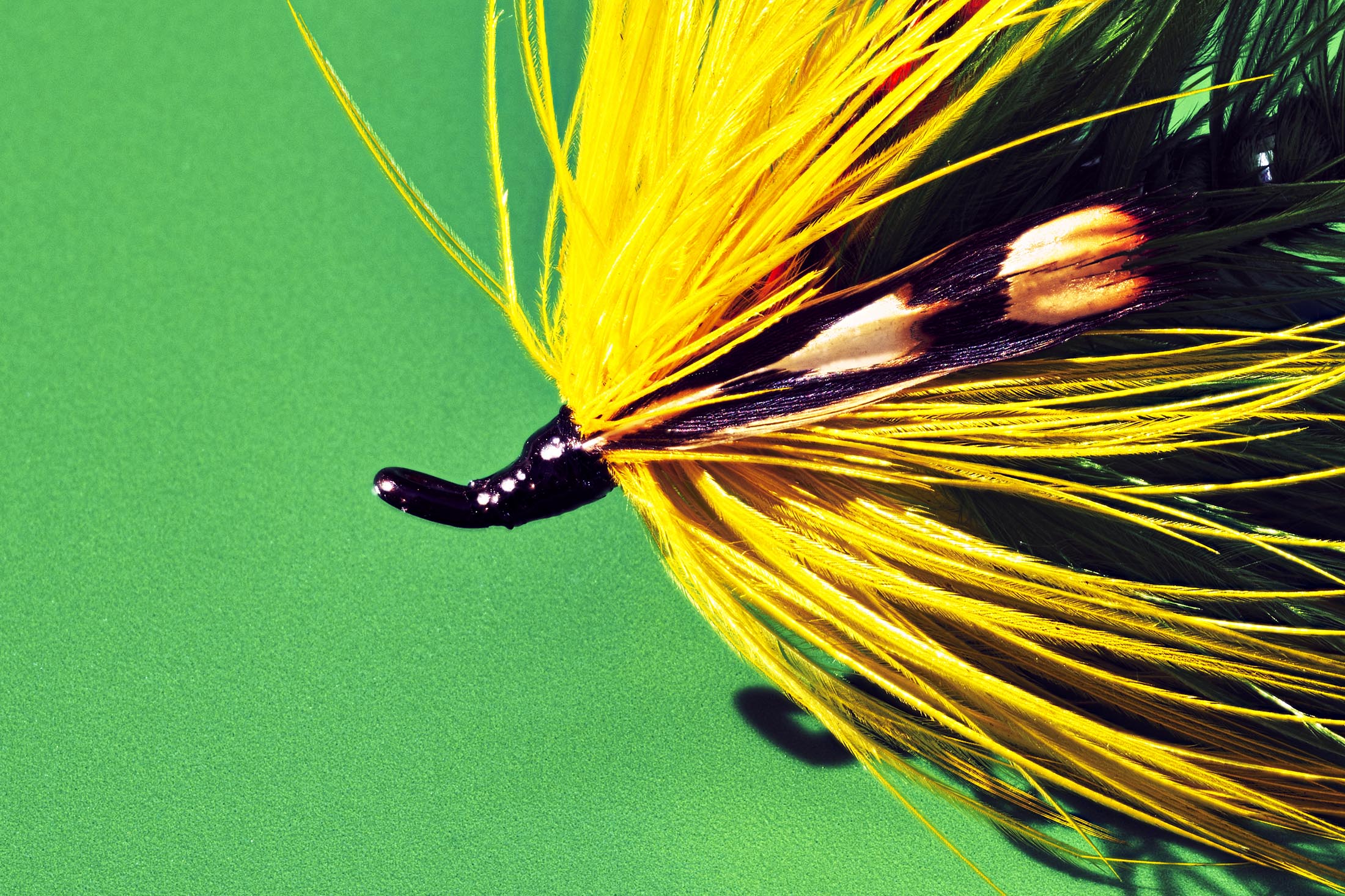 Tying Fishing Flies With Henry Hoffman, Grizzly Hackle Feathers - Bloomberg