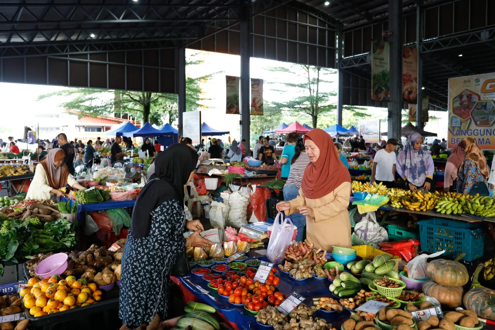 The central bank anticipates that inflation, which had been below 2% since September, may average as much as 3.5% this year should subsidies be phased out.