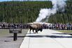Parts Of Yellowstone National Park Reopen After Historic Flooding