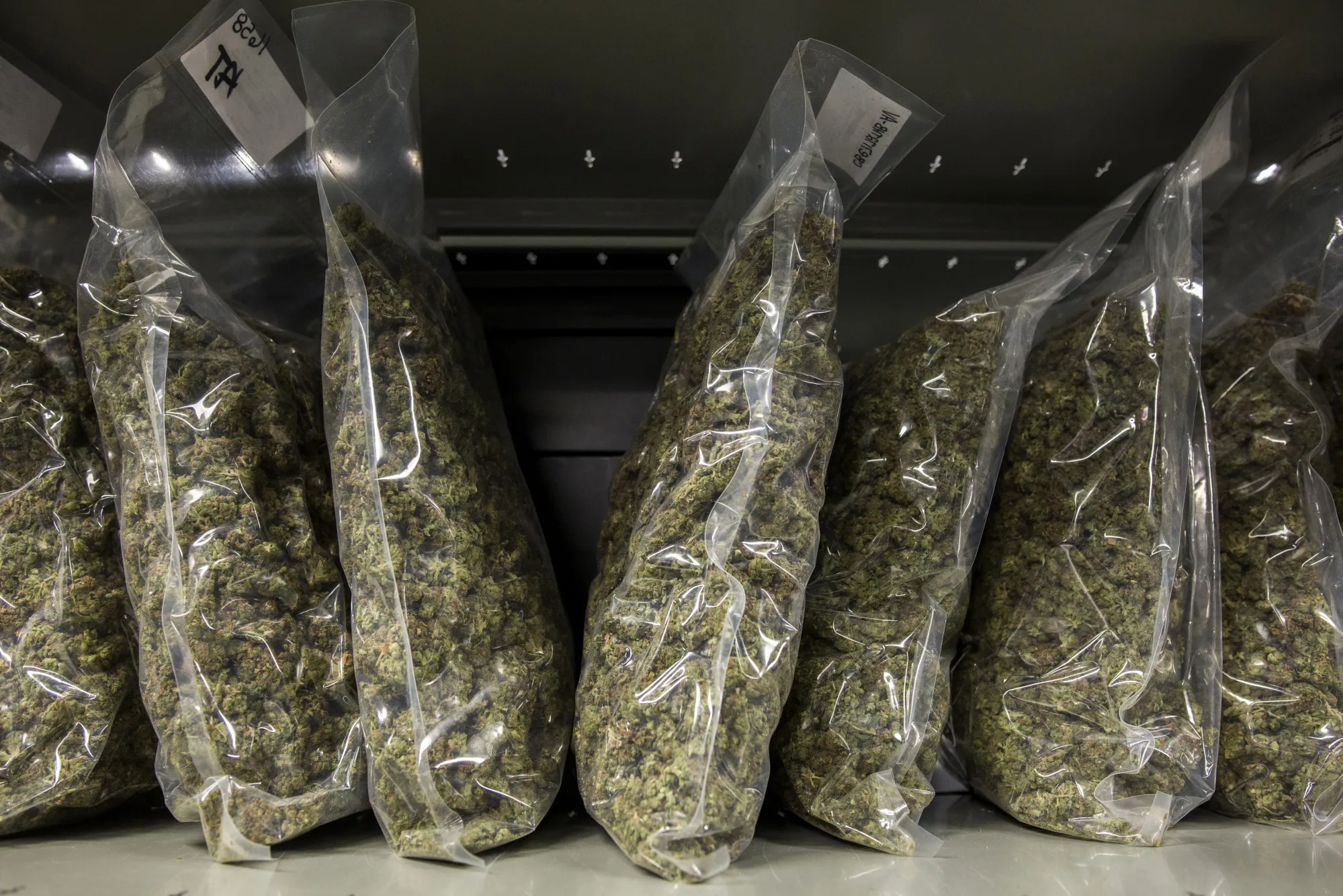 Inside The Canopy Growth Corp. Facility As Pot Growers Eye Global Expansion