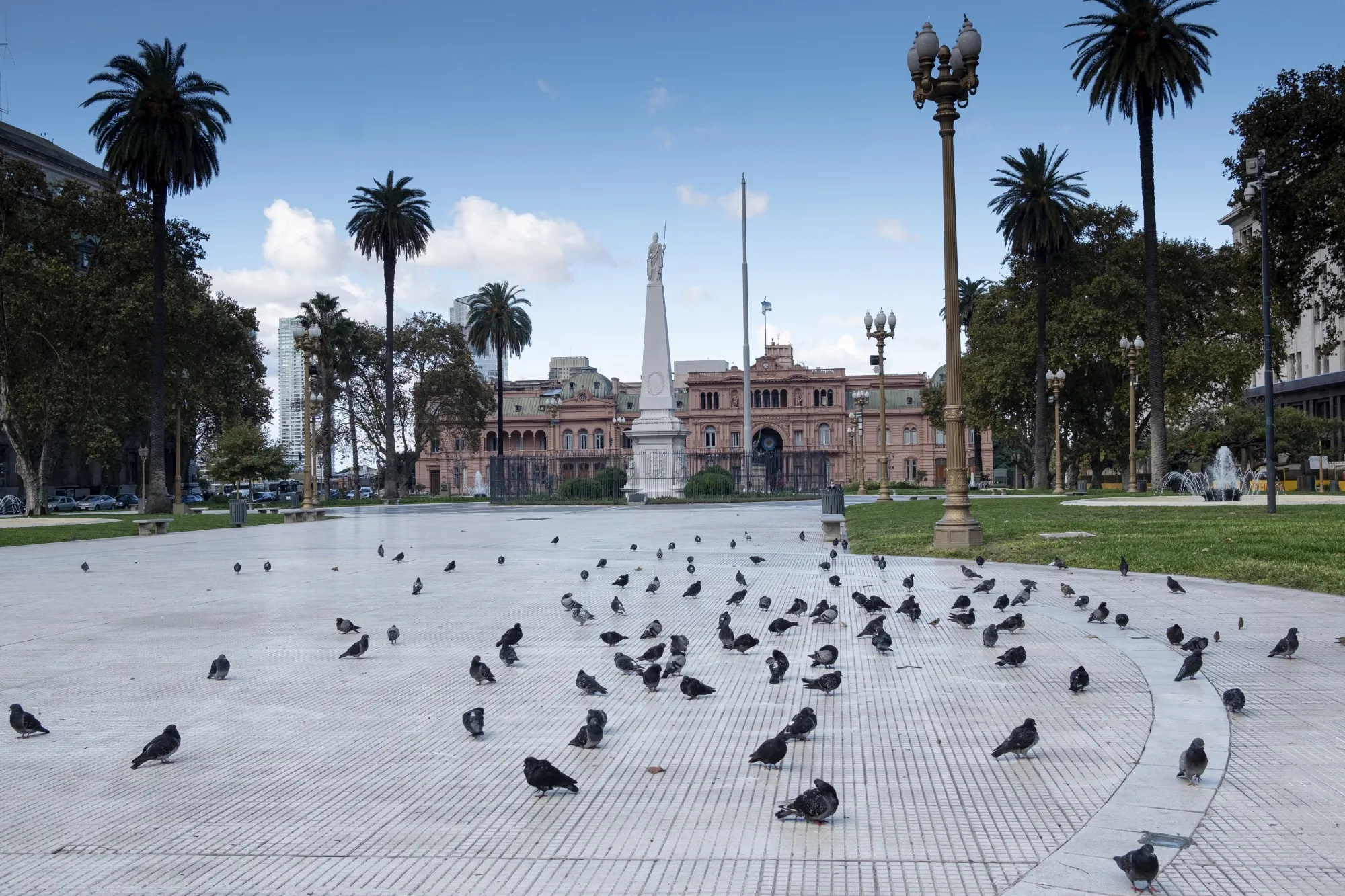 Pigeons are seen in Plaza de Mayo in Buenos Aires, Argentina.