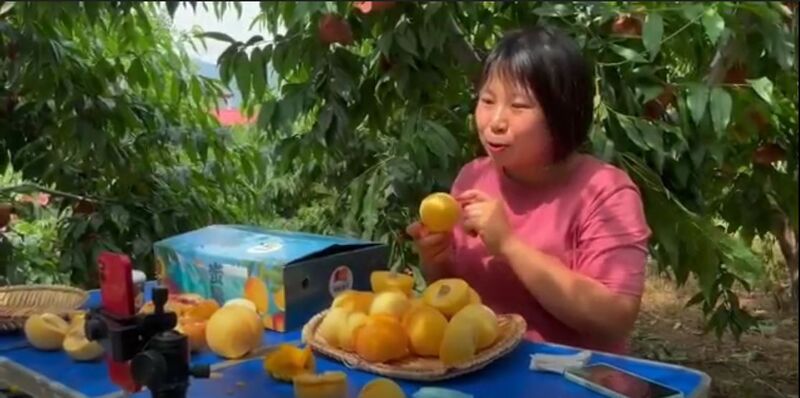 relates to Livestreaming Farmers Earn Millions From Fruit on China’s TikTok