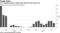 U.S. soybean sales to China have shrunk amid trade war
