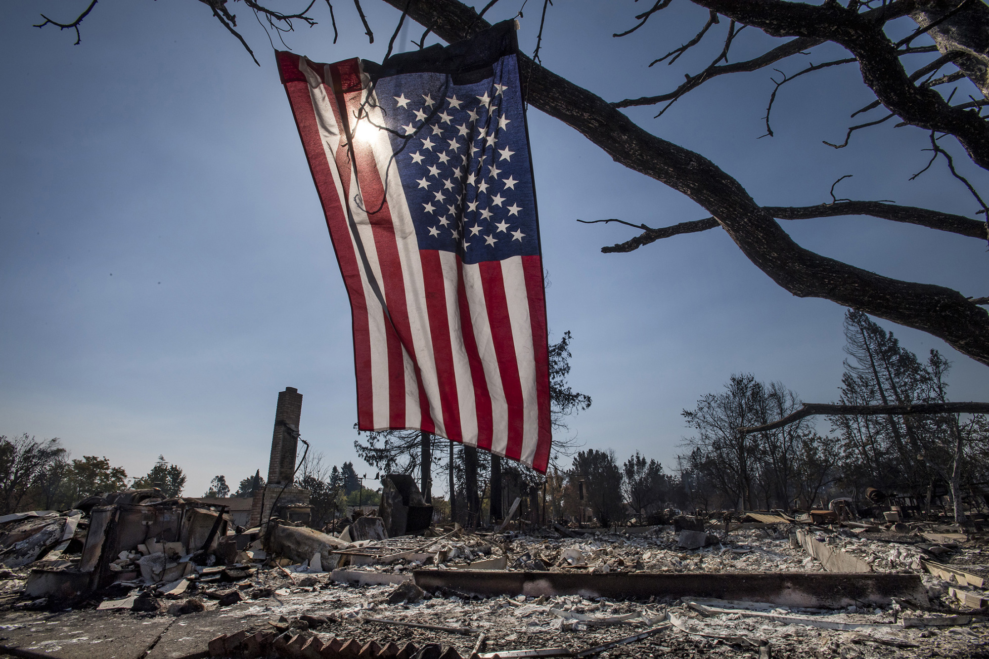 California Regulator We May Never Know If PG&E Caused Fires Bloomberg