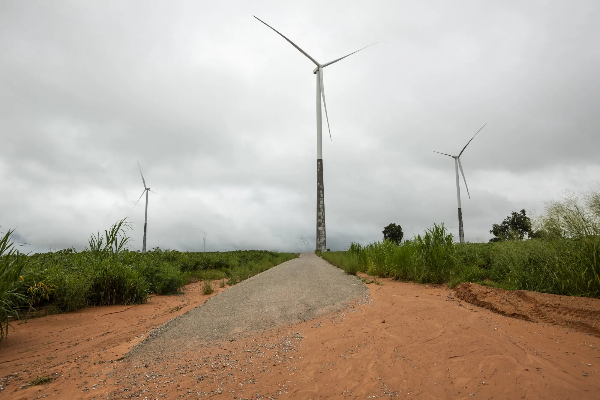 Wind turbines in Nakhon Ratchasima province in northeast Thailand.
